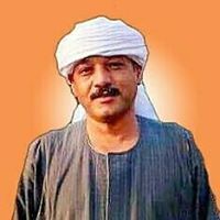 محمد أبوداود