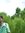 Shuvo Revo