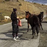 Konstantinos Letsios