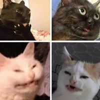 Himoru Takanashi Matsuyama