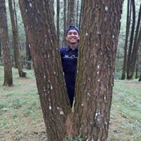 Syarif Harahap