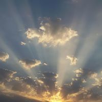 ضرغام الصافي