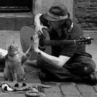 الطاهر آلنور