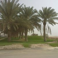 Mirza Raza
