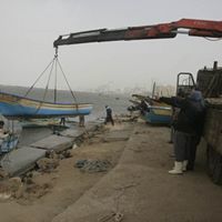 الاستاذ أديب