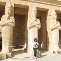 Rasha Hamdy