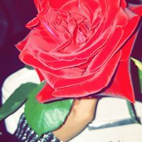 افنان عبدالله