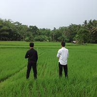 Ilmi Gunardi