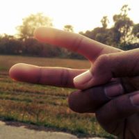 เดอะ โด้