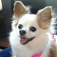 Elaine Standiferd Klein