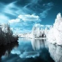 محمد العتيبي