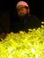 Suhail ...