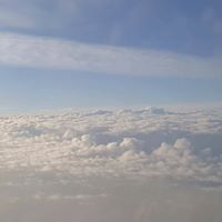 الاء عبد الرحيم