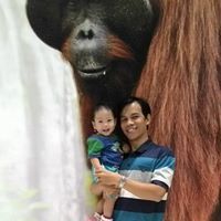 Taufiqin Taufiqin