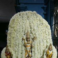 Nandhini Theimmortal