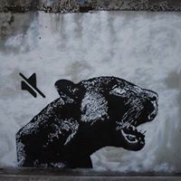 ชนาวรรณ คำคล้อย