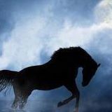 سارة الصديقي