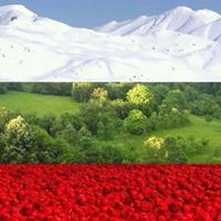 Маргото Красимирова