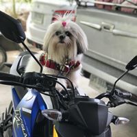 อยู่เย็น เป็นสุข