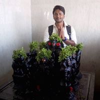 Dev Dhal