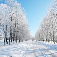 کوردی نەگبەت