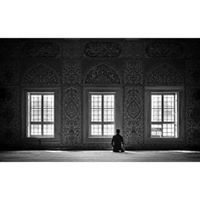 Tasneem Tarek