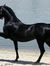 دمعه خيل
