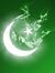 Syed Ha...