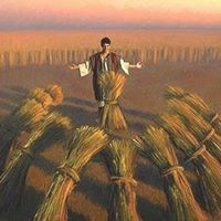 Fan Zhang, CFA, Ph.D.