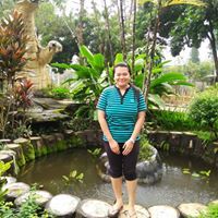 Nimfa R Wibowo