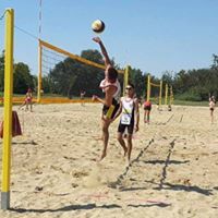 Александр Сологуб