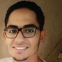 علاء الشرقاوى