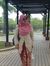 Wan Ieylah