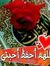 إيمان عرفة
