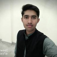Muhammad Zulfiqar