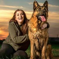 מיכל ברוך פז