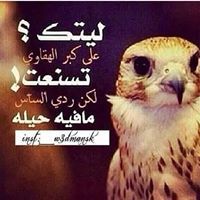 المقناص جبلاوي