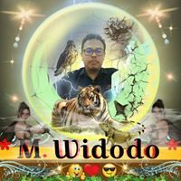 Muhammad Widodo