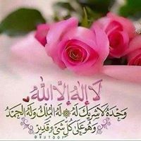 زكريا النجار