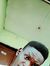 Jo Nathan