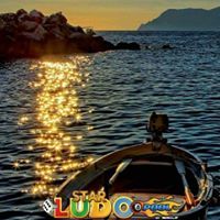 بندر الفيفي