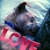 הודיה טויטו