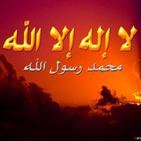 Wael Mohamed