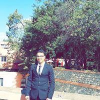 توفيق رادوي