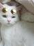 mariabo...