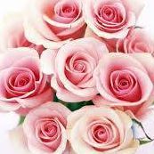 Pvithya Senthilkumar