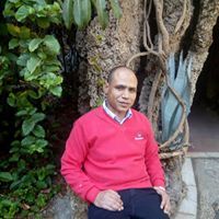 Ahmed Zidane