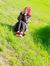 Fatin M...