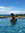 Emelyn | 9 comments