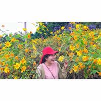 เฟิร์นนนนนน นนนน